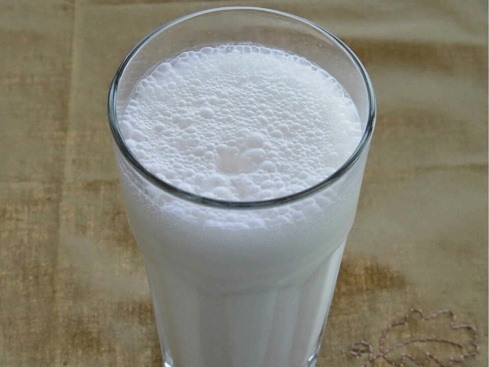 Ayran - Yoghurtdrank